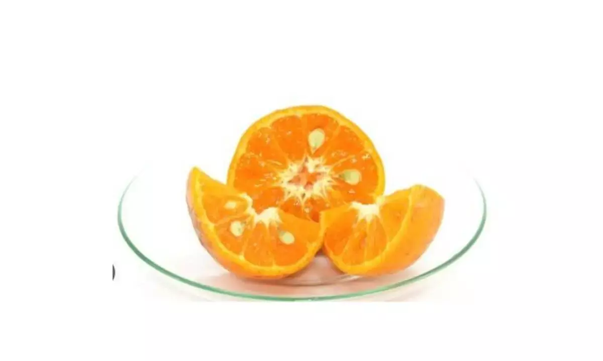 Meghalaya exports oranges to Dubai