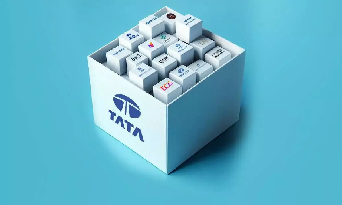 Tata Sons IPO’s fate hangs in balance now