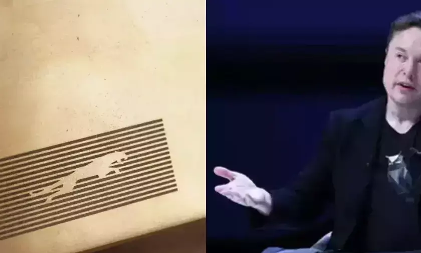 Elon Musk takes a jab at Tata Jaguars new logo in colourful rebrand video, Car maker responds