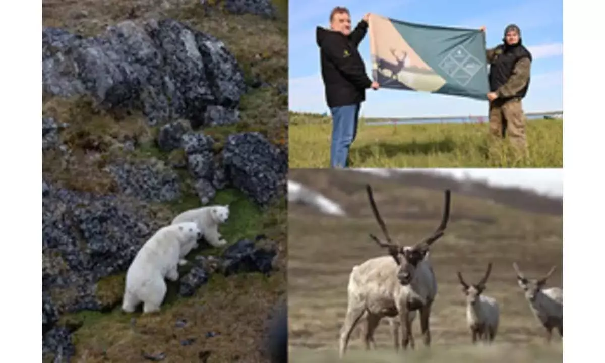 Rosneft Arctic Research Team Finds Rare Birds