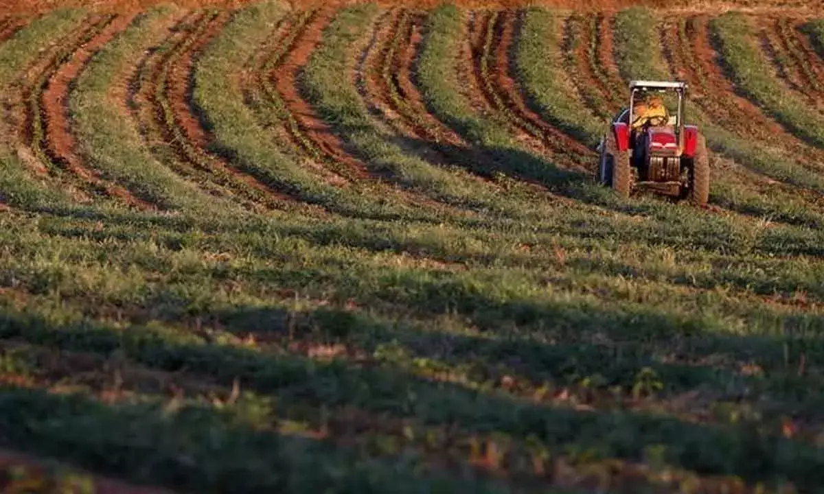 India Clocks $50-Bn Food Grain Exports