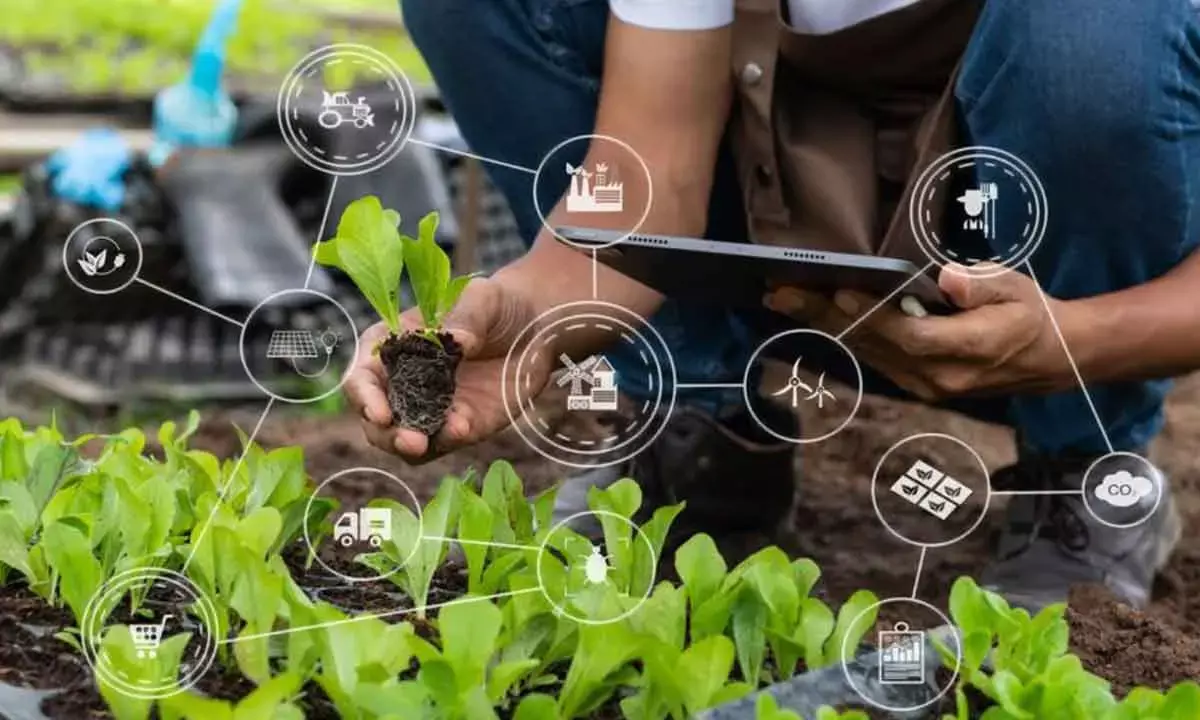 ‘Ease Of Doing Farming’ Is The Best Bet To Save Farmers From Future Misery