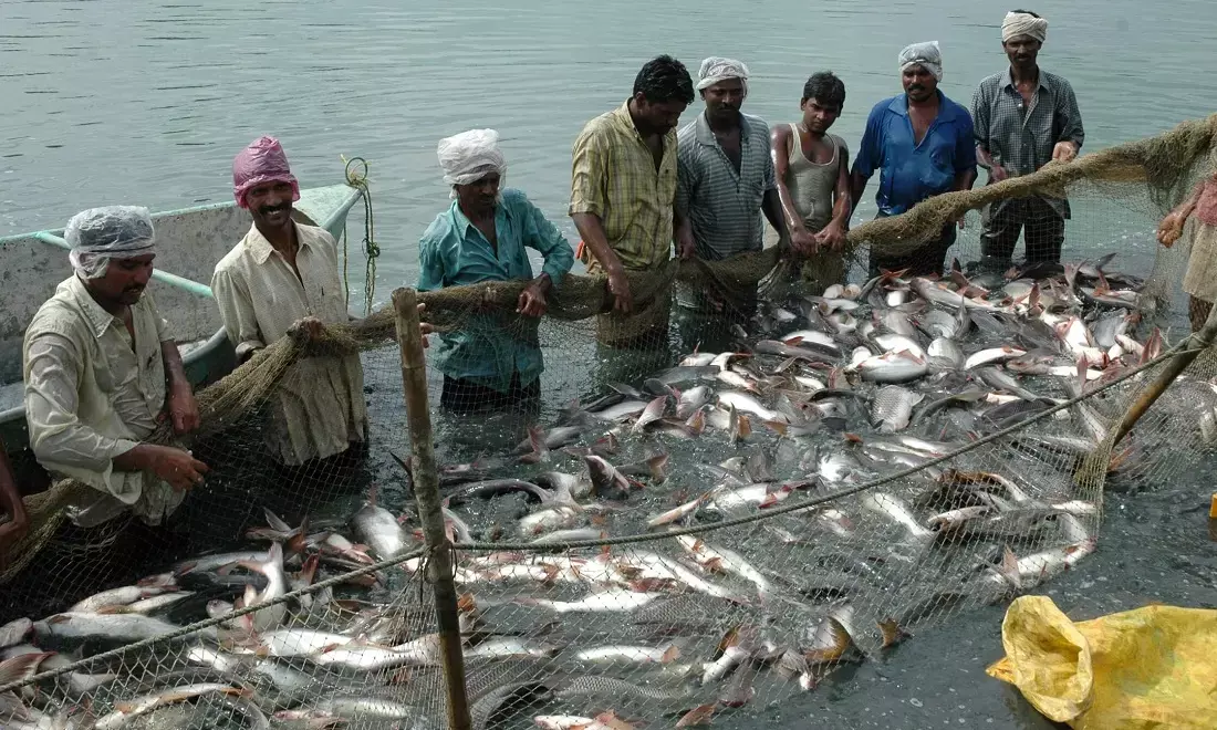 India’s annual fish production doubles to 17.5 million tons in last 10 years: Fisheries Minister