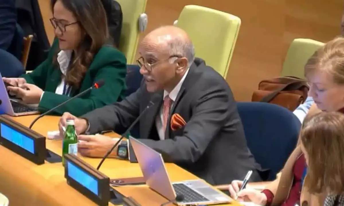 With No Progress On Security Council Expansion, India Calls For Urgent Reforms