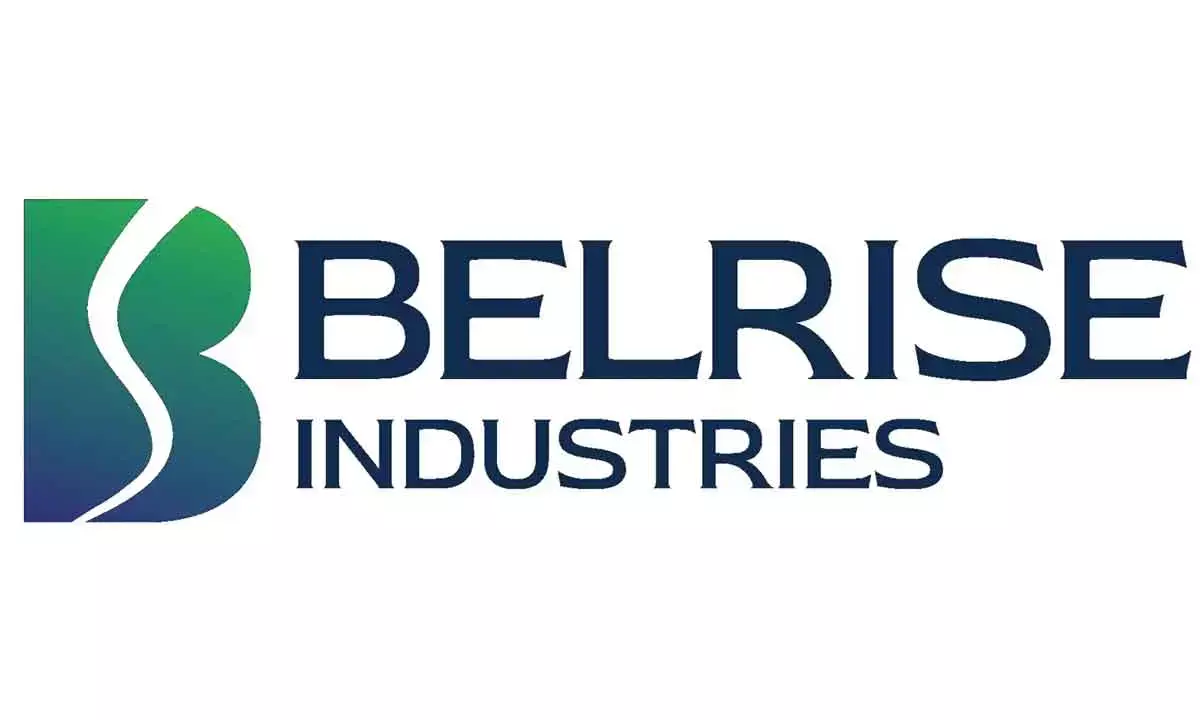 Belrise Ind Eyes Rs 2,150 Cr Via IPO