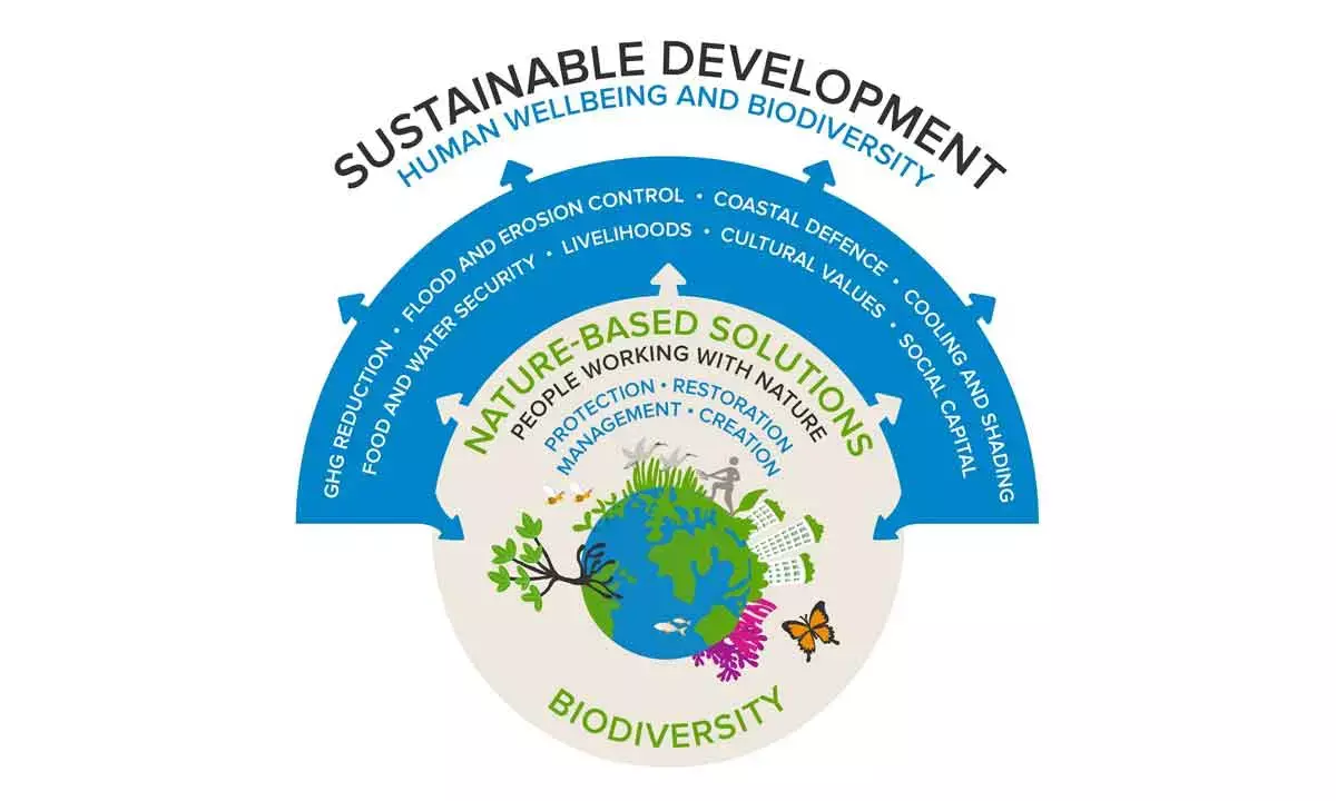 Healthy Ecosystems And Stable Climate Crucial For Climate Resilience And To Protect Biodiversity