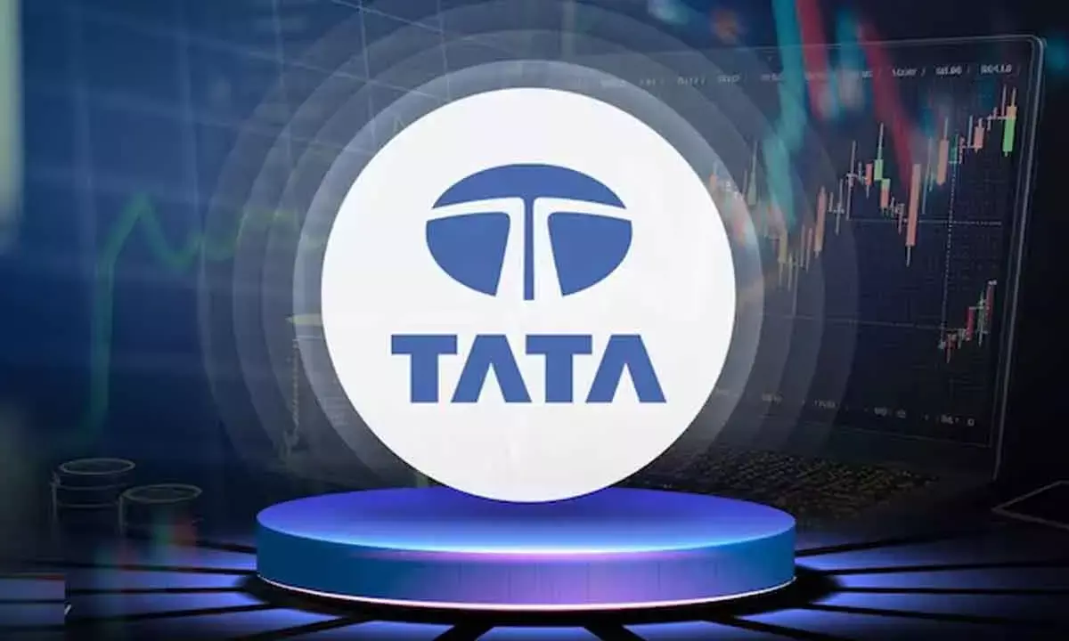 Tata Sons IPO Faces ‘Conflict Of Interest’