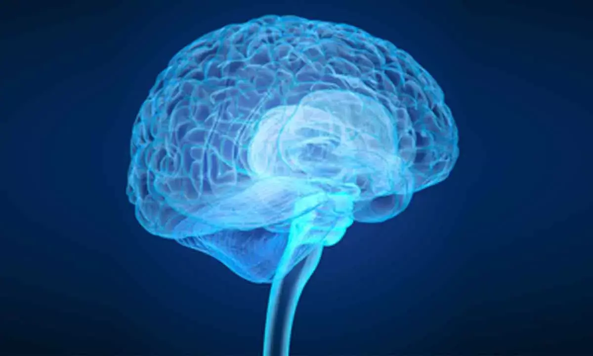 Scientists Decode Brain Activity That Can Help Treat Anxiety And Depression