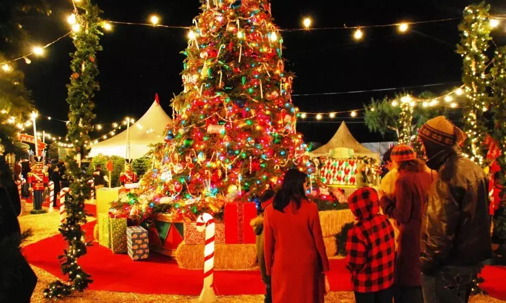 Make Arrangements for Grand Christmas Celebrations across Telangana: Bhatti to Officials