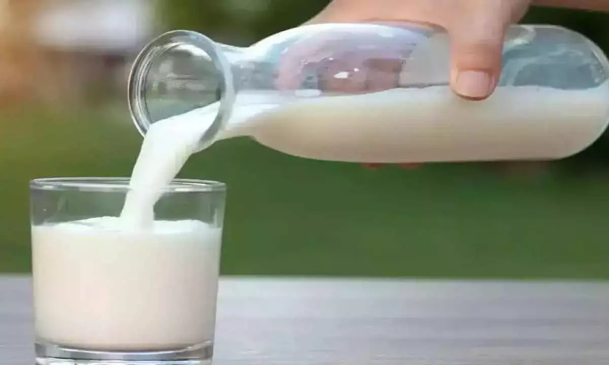 Milk Production In India Reaches New Heights, But Growth Slows