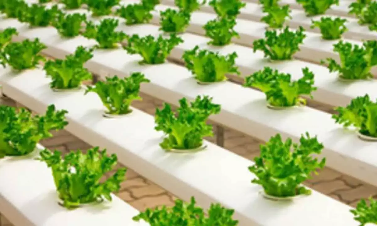 India Ahead In AI-Driven Green Initiatives,Says Report