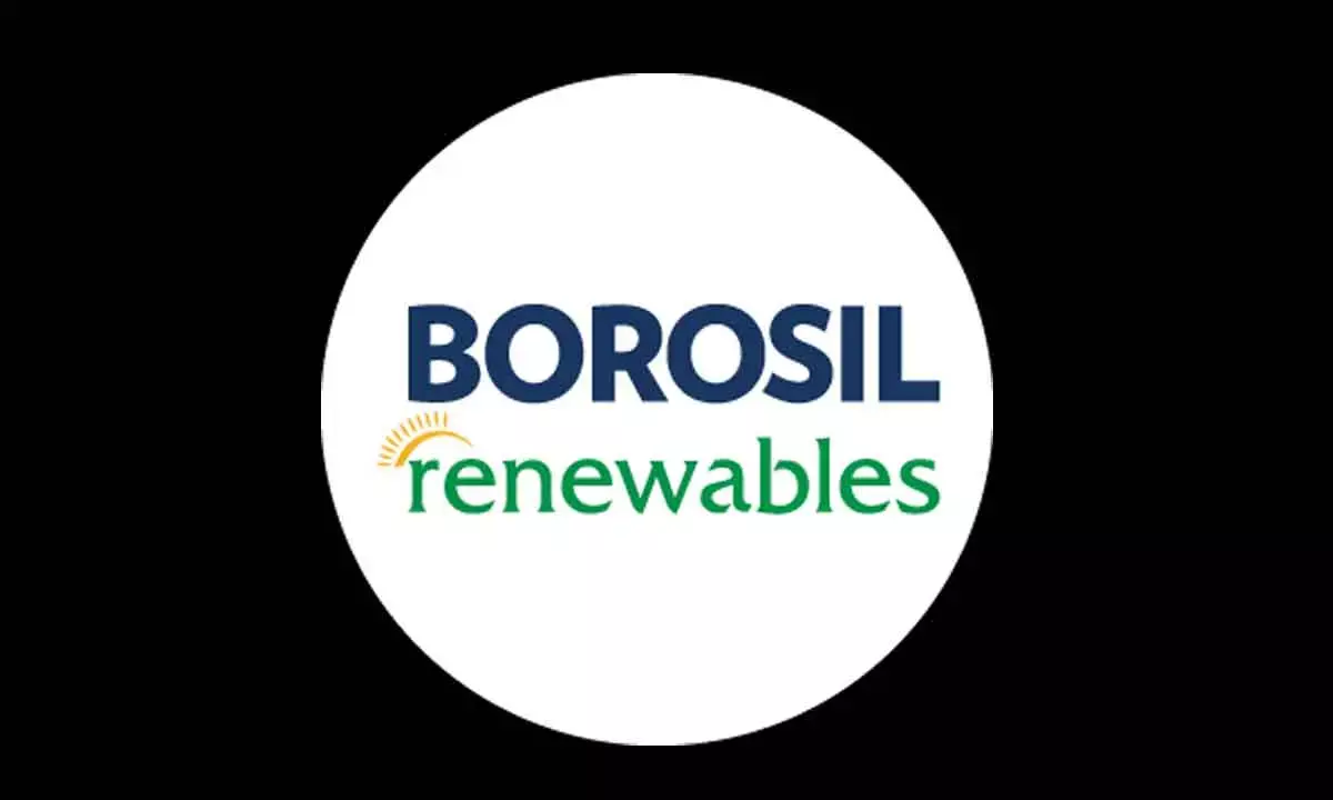 Borosil Renewables Appoints Melwyn Moses As CEO