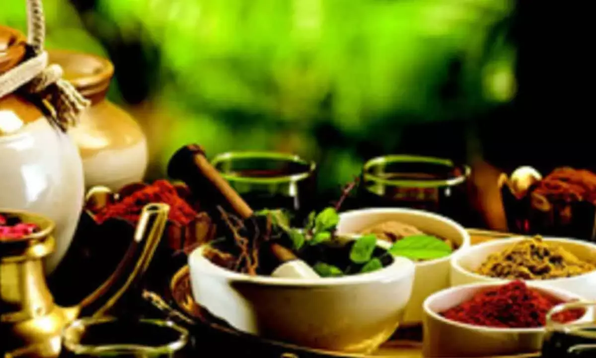 Spotlight On Indian Traditional Medicine At Global Meet