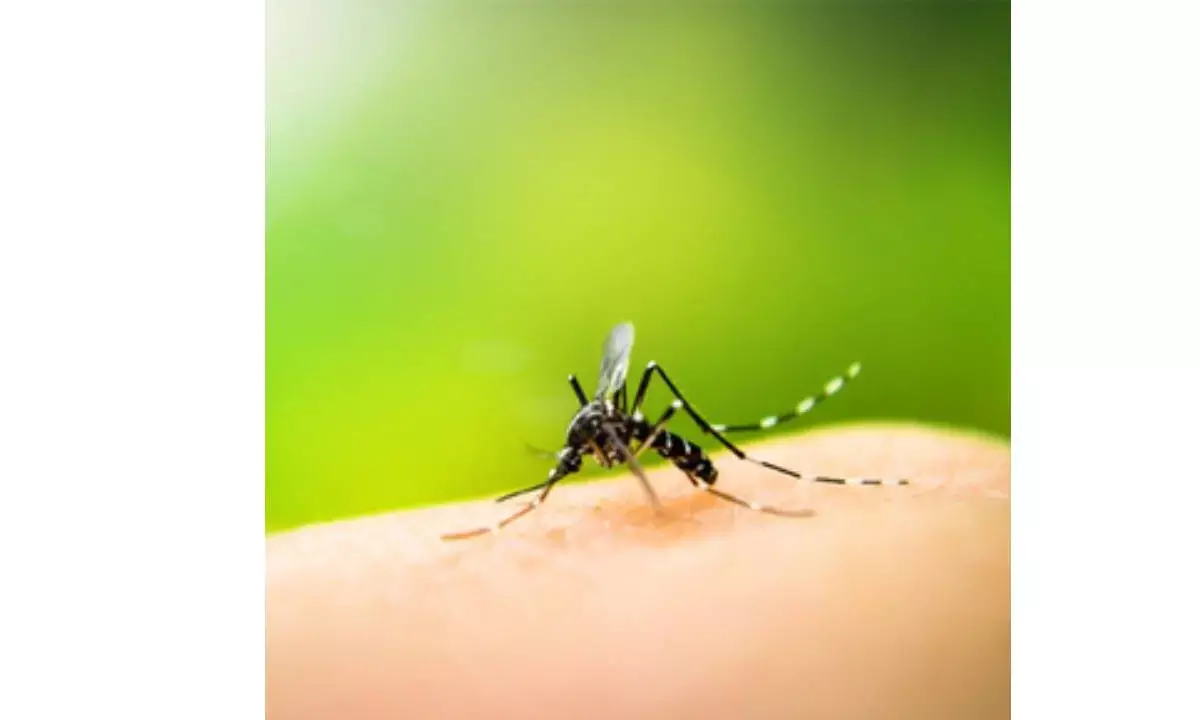 Study of parasite genomes may predict malaria drug resistance