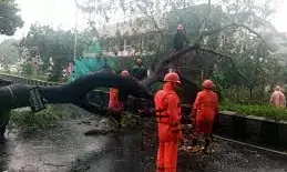 Cyclone Fengal: Holidays Announced for Schools and Colleges; Madras University Exams Rescheduled
