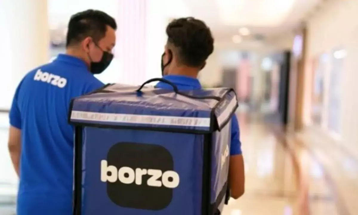 Borzo introduces new truck delivery service
