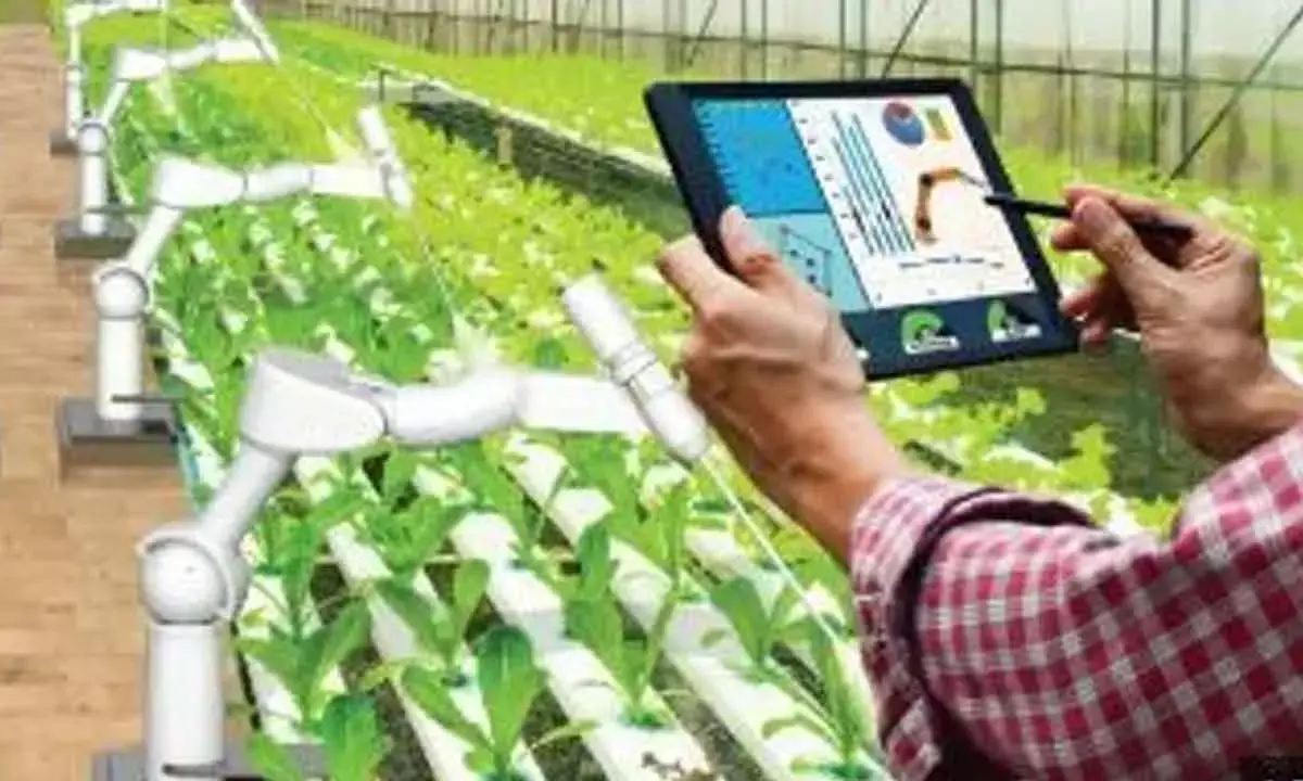 Bank Of Baroda Focuses On Tech-Enabled Banking