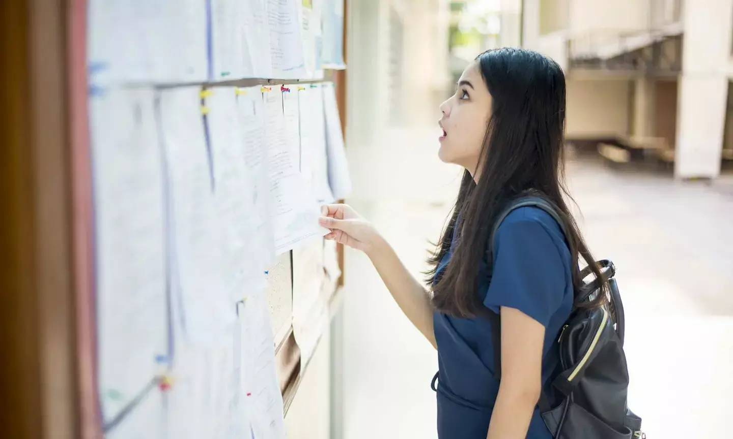 CMAT 2025 Results Released: Check Scores on NTA Official Website