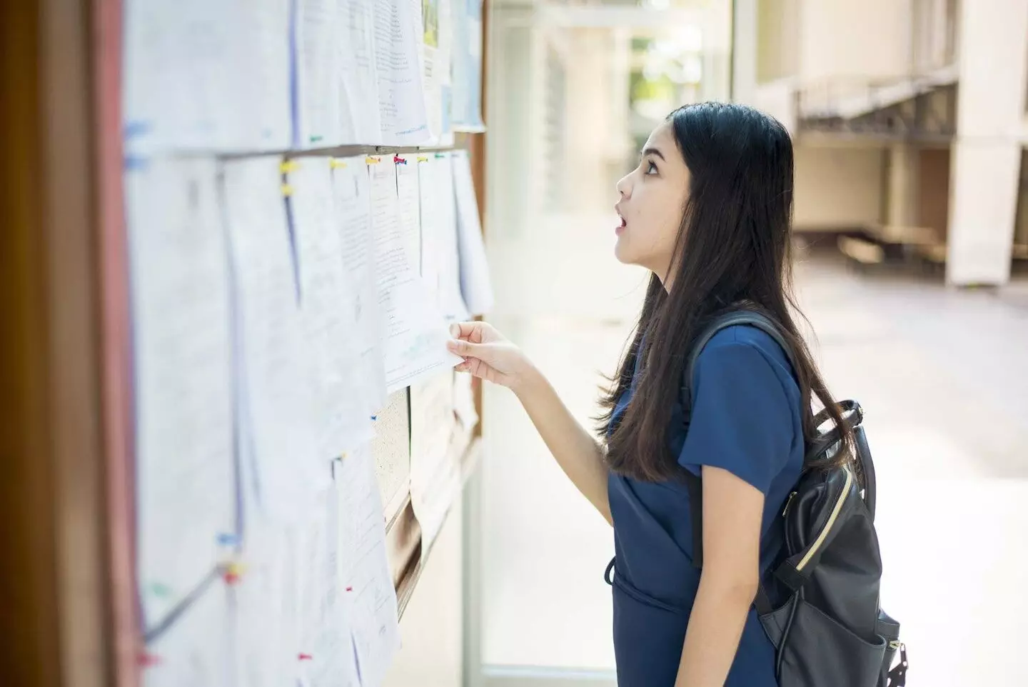 CMAT 2025 Results Released: Check Scores on NTA Official Website CMAT 2025 Results Released: Check Scores on NTA Official Website