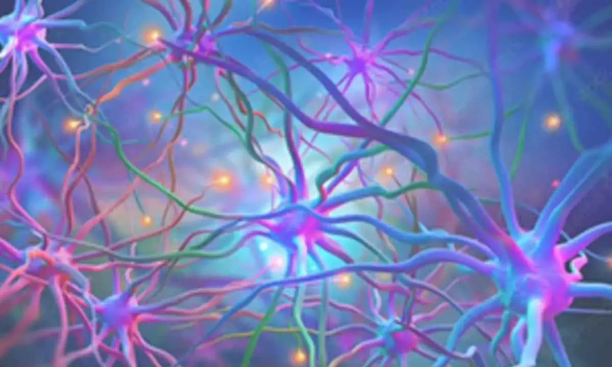 Common Heart Drug Shows Promise For Huntingtons Disease