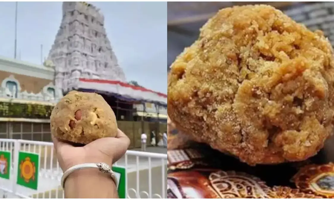 Tirumala TTD  Enhances Laddoo Production and Staff Recruitment