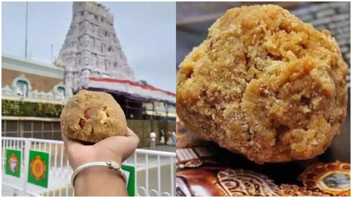 Tirumala TTD Enhances Laddoo Production and Staff Recruitment Tirumala TTD Enhances Laddoo Production and Staff Recruitment