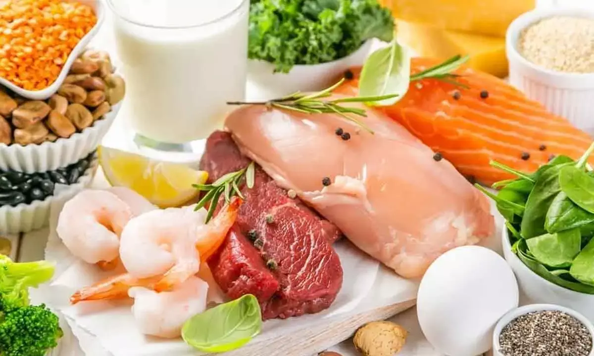 Replace Meat And Dairy Intake With Whole Meals And Lower Your Environmental Footprint