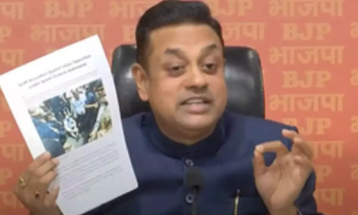 Rahul A Traitor, Says BJP, Accuses Him Of Destabilising India