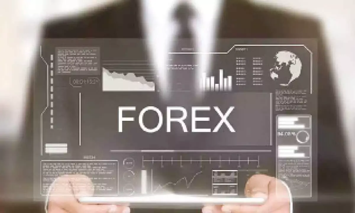 Indias Forex Kitty Swells By $1.51 Bn To $658 Bn