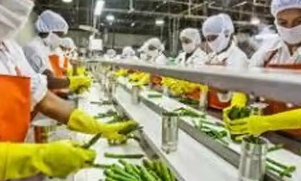 FDI In Food Processing Sector Reaches $368 Mn