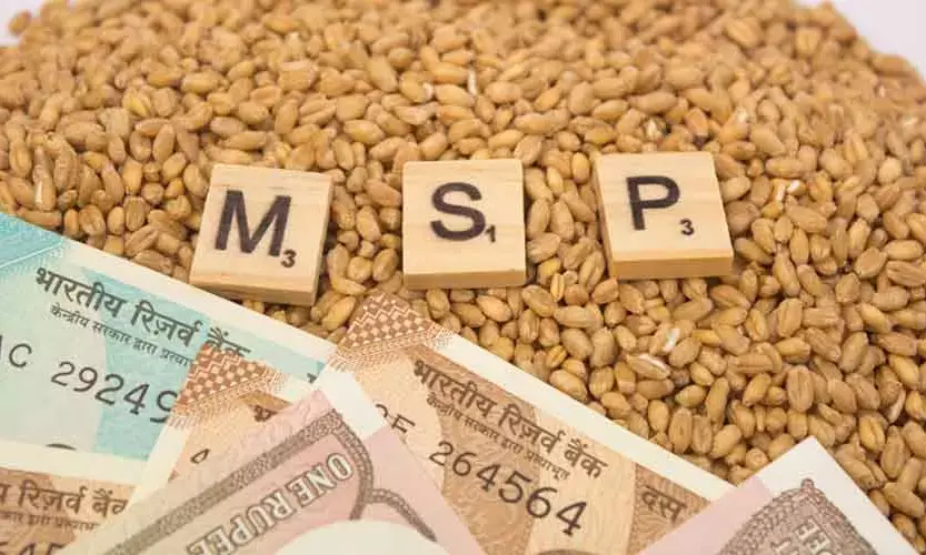 Himachal leads in natural farming with record MSP for wheat and maize: Agriculture minister