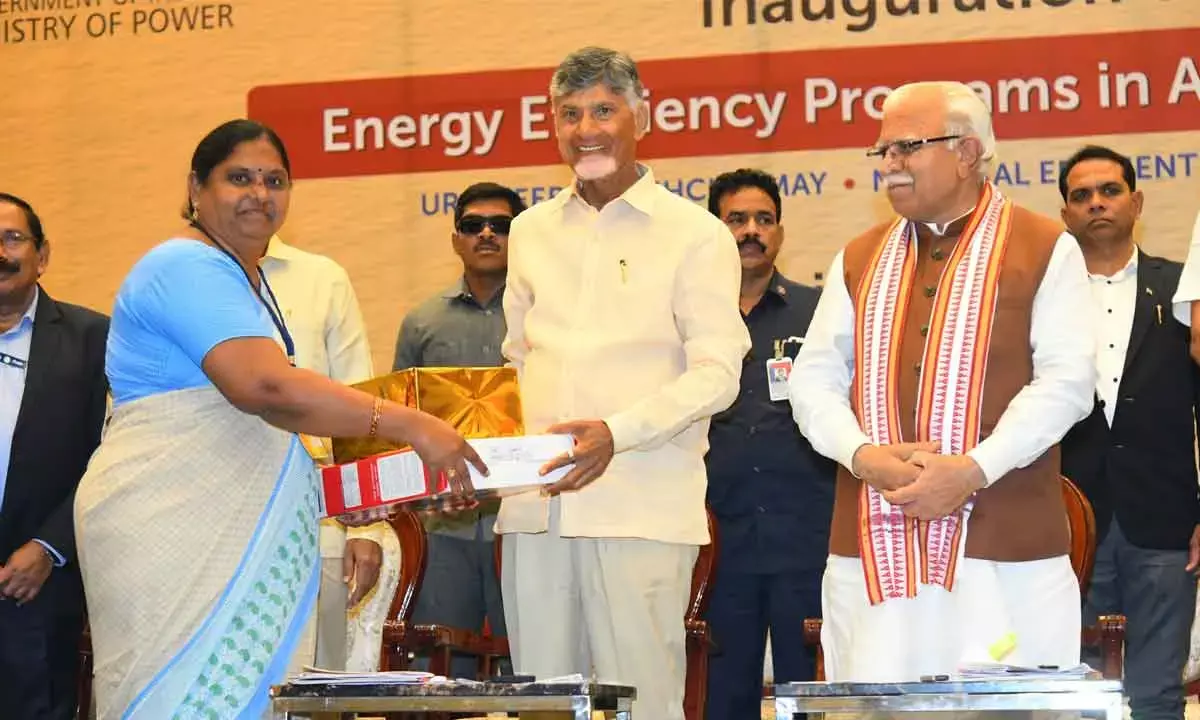 Focus On Green Energy: Naidu