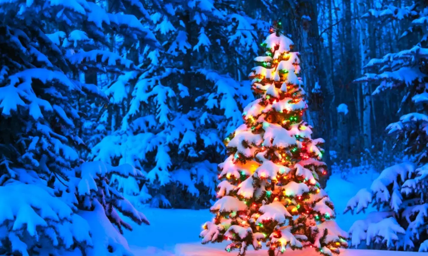 20 Best Places to Visit in India During Christmas