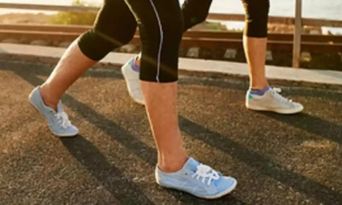 Exercise May Boost Memory In Elderly: Study