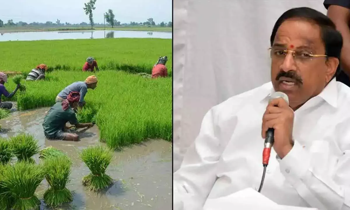 Expedite Drip Irrigation: Tummala To Officials