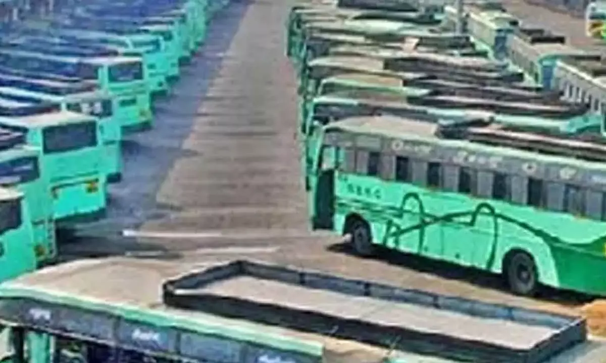 TN To Run 10k Buses For Karthigai Deepam Fest