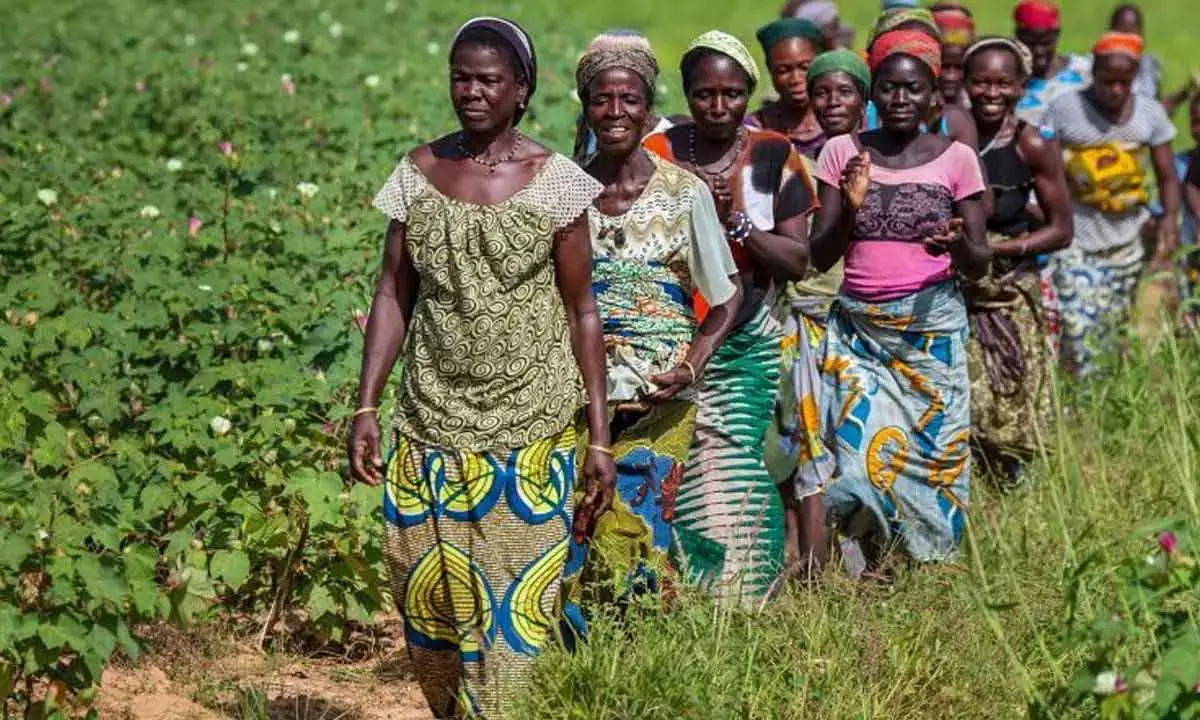 Agro-Ecology Will Be The Most Potent Way Forward To Address Africas Worsening Food Crisis