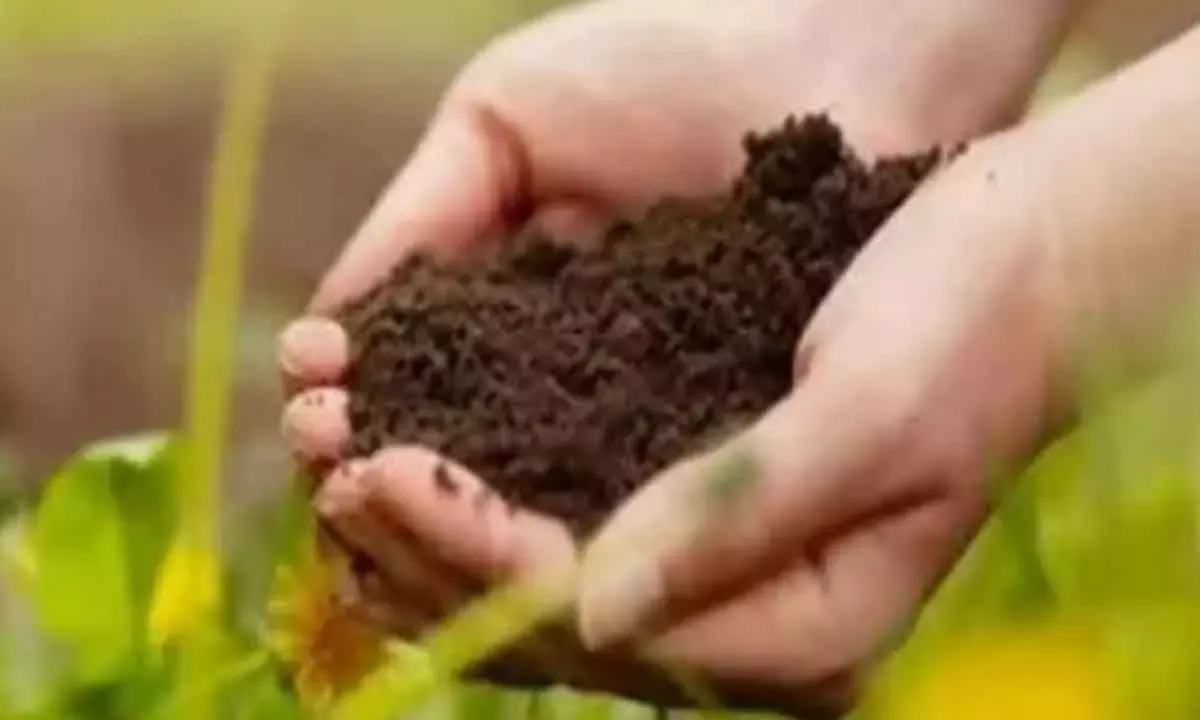 Rs 122 Crore Released To Over  1,700 Agri-Startups: Minister