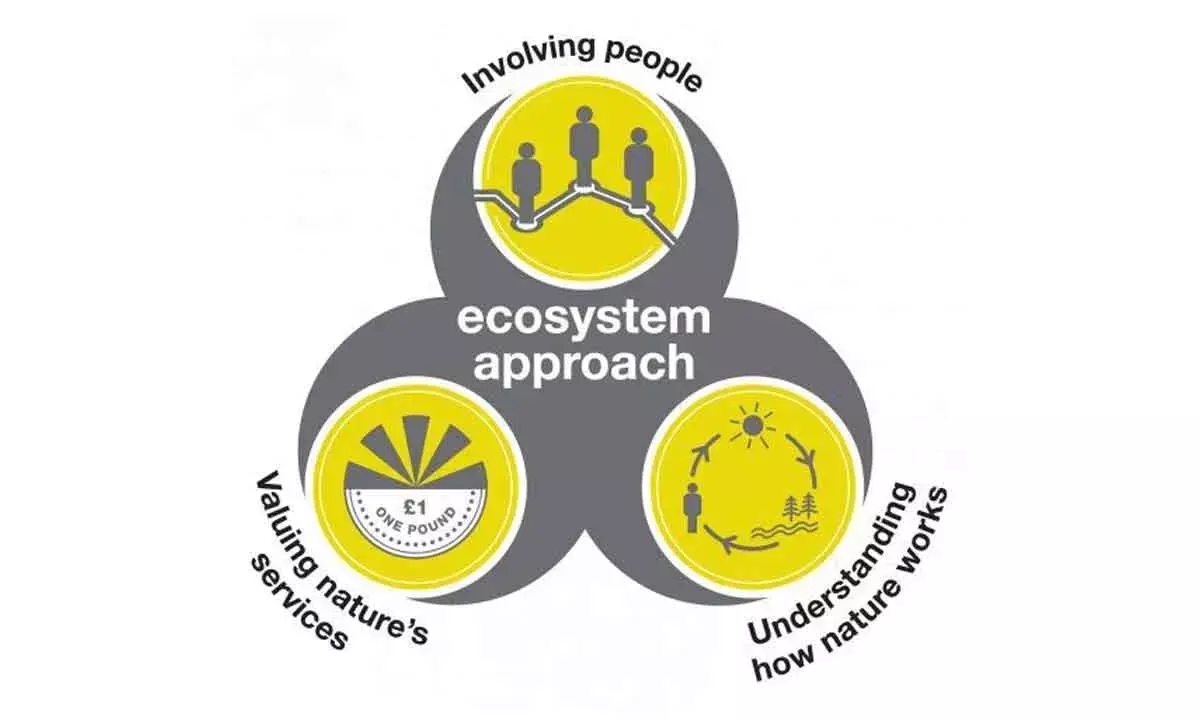 India Must Formulate Agriculture Pricing With An Ecosystem Approach Well Within TEEB Framework