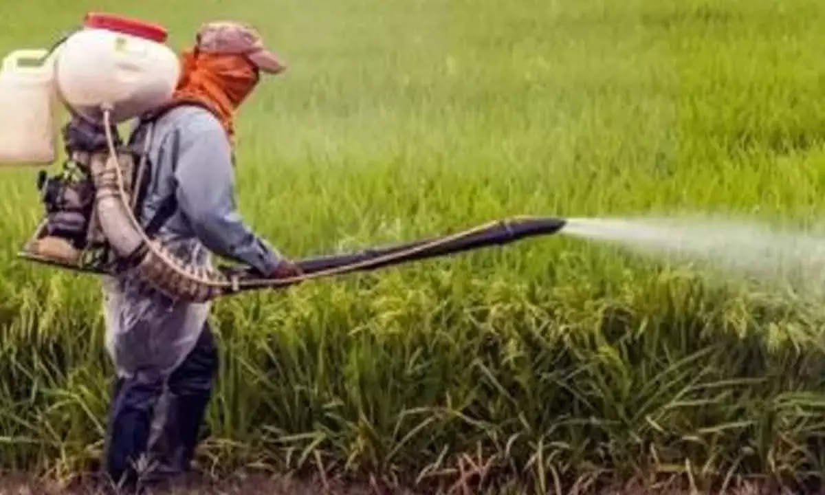 Indian Agrochemicals Sector To See 7-9% Growth Next Fiscal: Report
