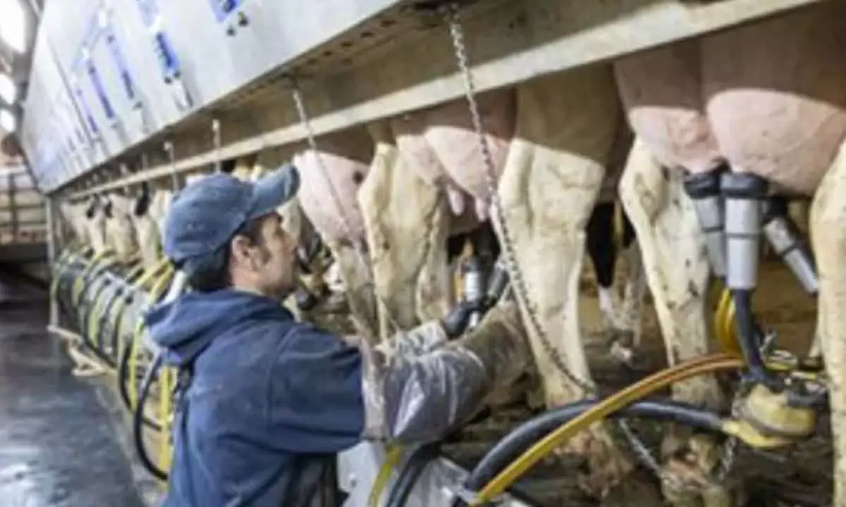 Flu Virus Can Remain Infectious In Refrigerated Raw Milk For 5 Days: Study