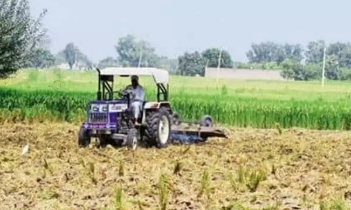 Arrival Of Kharif Crops, Robust Rabi Augur Well