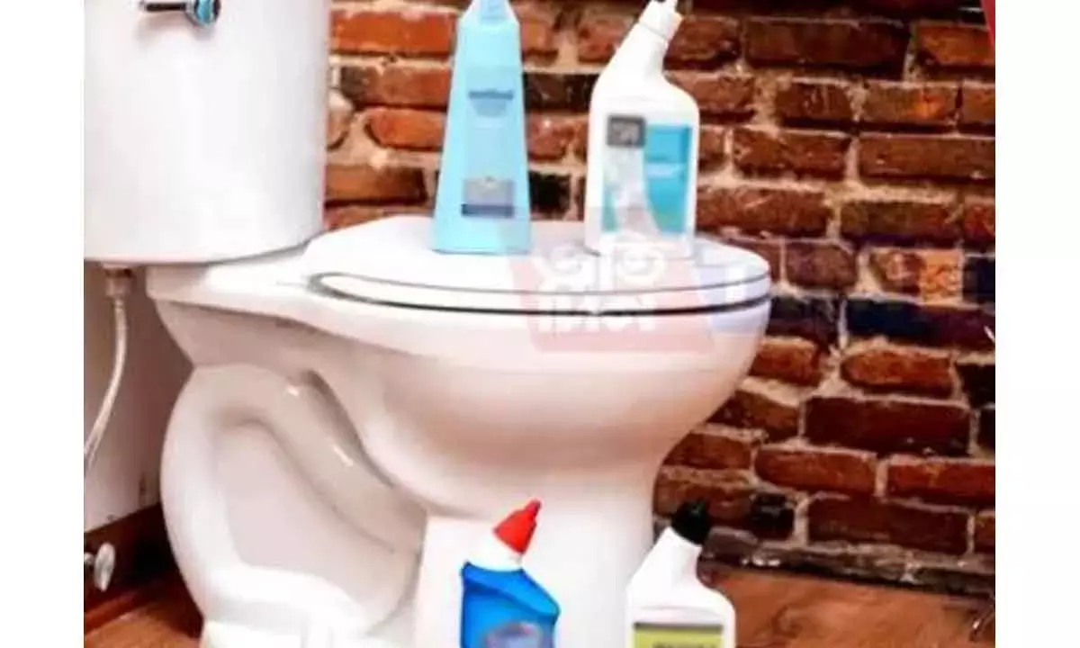 Swachh Bharat Drives Toilet Cleaner Usage By 53% In 2024