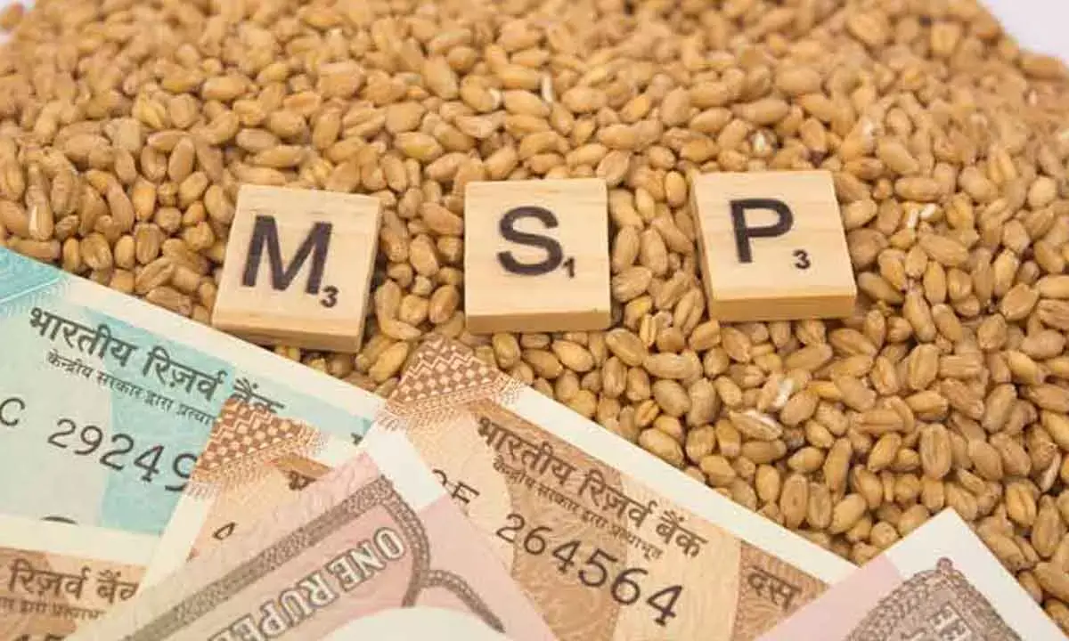 Parliamentary Panel Supports Legal Warranty For MSP