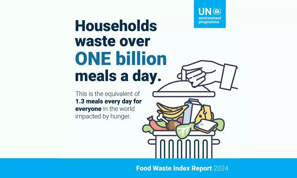 Food Waste Estimated To Be Over A Mindboggling $One Trillion Annually