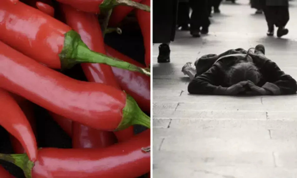 Employees forced to eat chillies, lie on floor to greet boss: Bizarre punishments at Chinese firms