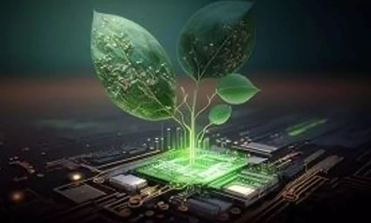 Is AI A Climate Hero Or A Carbon Burden?