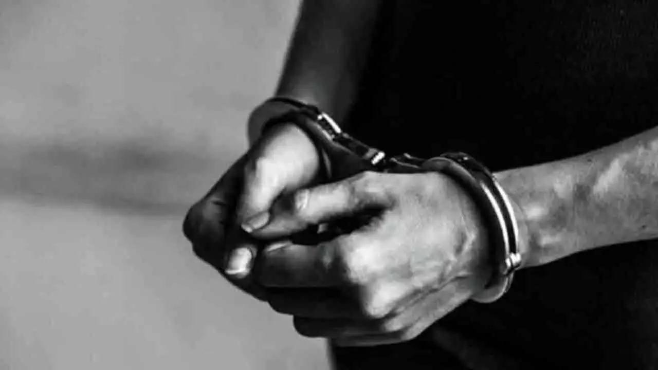 Automobile Offenders Nabbed Automobile Offenders Nabbed