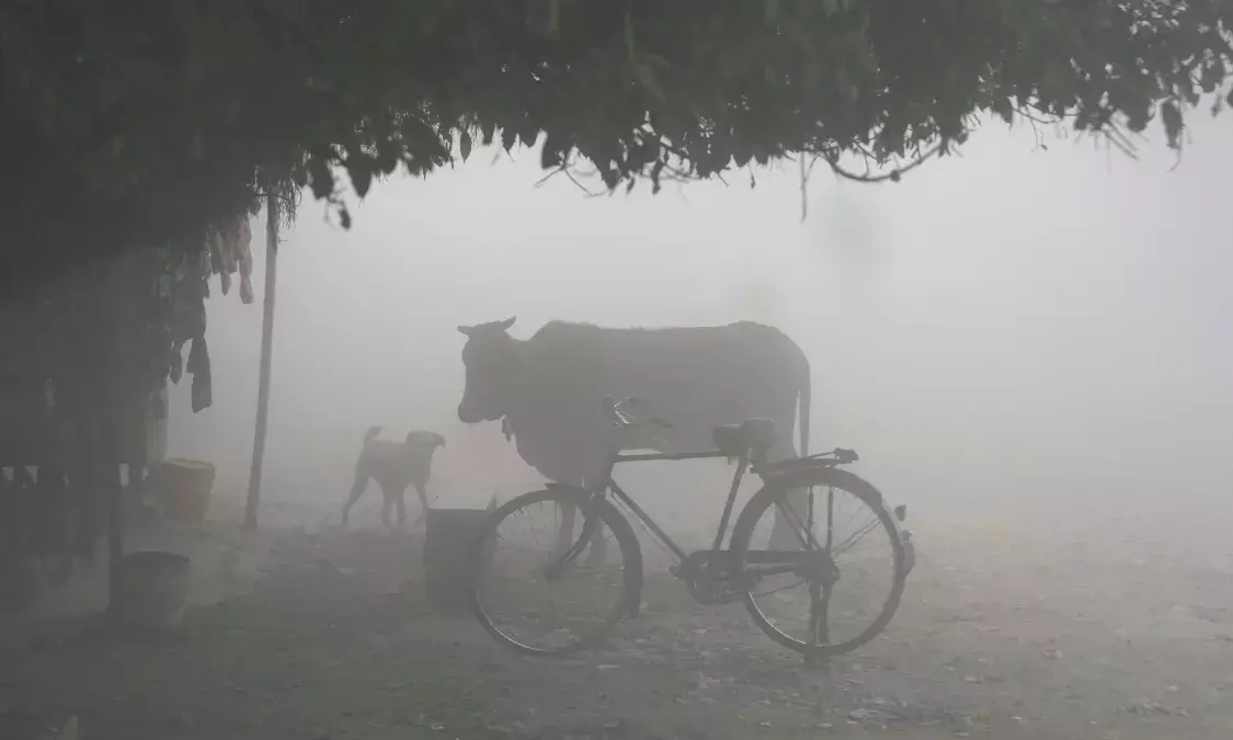 Cold Wave Sweeps Across India: Mercury Plummets from North to South