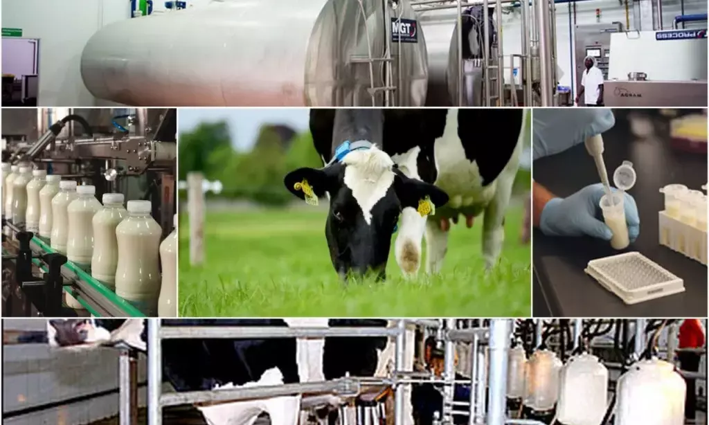 Govt asks dairy federations to focus on circular economy